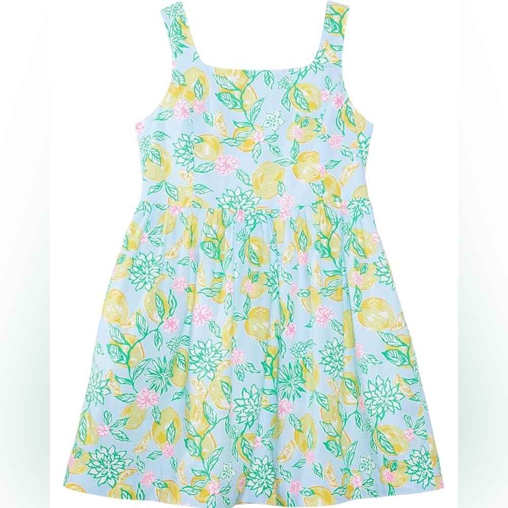 Lilly Pulitzer Bellefleur Dress